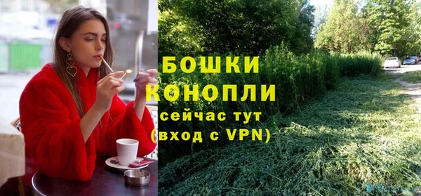 ГАЛЛЮЦИНОГЕННЫЕ ГРИБЫ Магас
