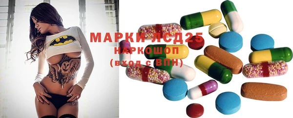 ГАЛЛЮЦИНОГЕННЫЕ ГРИБЫ Магас
