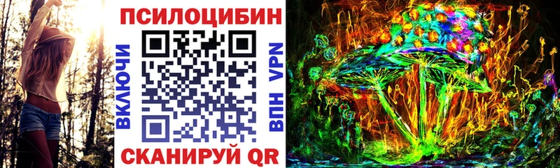 hydra как зайти  Шимановск  мориарти состав  Псилоцибиновые грибы мухоморы 